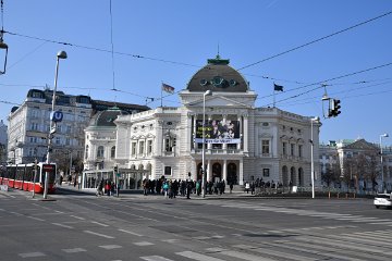 DSC_6348