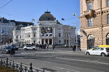 DSC_6354