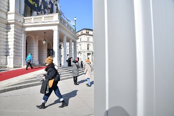 DSC_6434