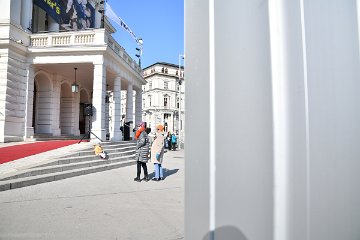 DSC_6435