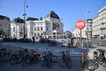 DSC_6462